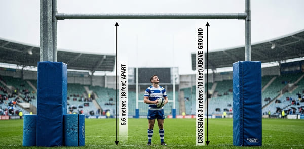 What are they like and why are they important