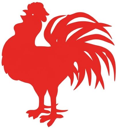 Bega Roosters