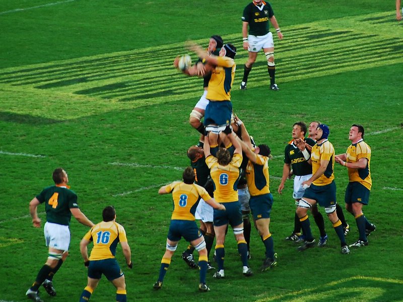 Wallabies players in gold winning a lineout against the Springboks